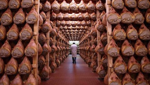 Parma Ham factory